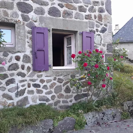 Nouveau - Maison Nierveze Proche Lioran *