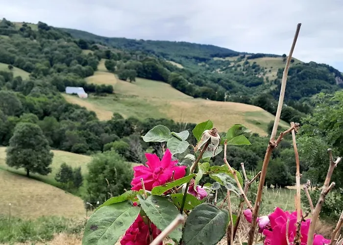 Nouveau - Maison Nierveze Proche Lioran Holiday home Thiezac